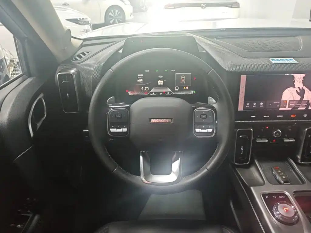 Haval Big Dog 2025 2024 1.5T DCT Border Collie Edition