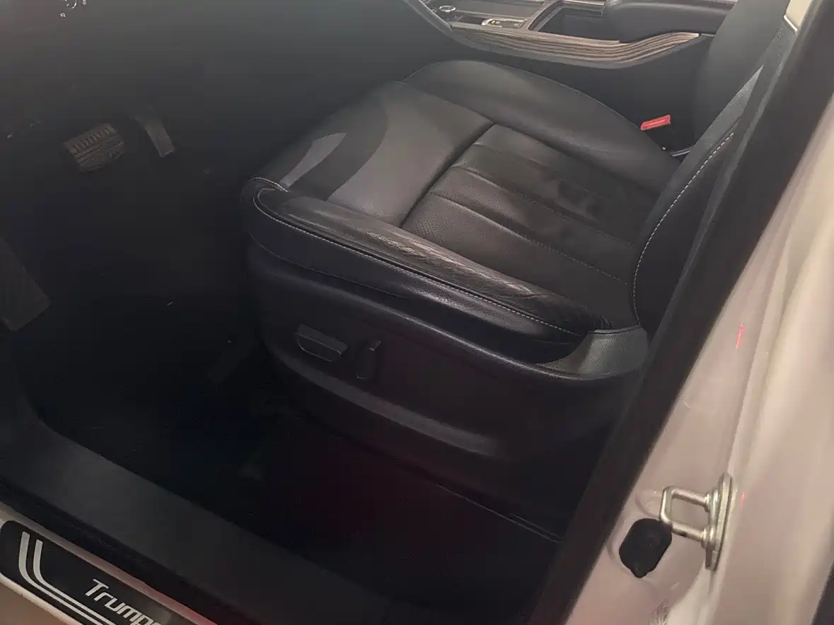 GAC Trumpchi Trumpchi M8 2020 Pilot 390T Prestige Edition фото 19