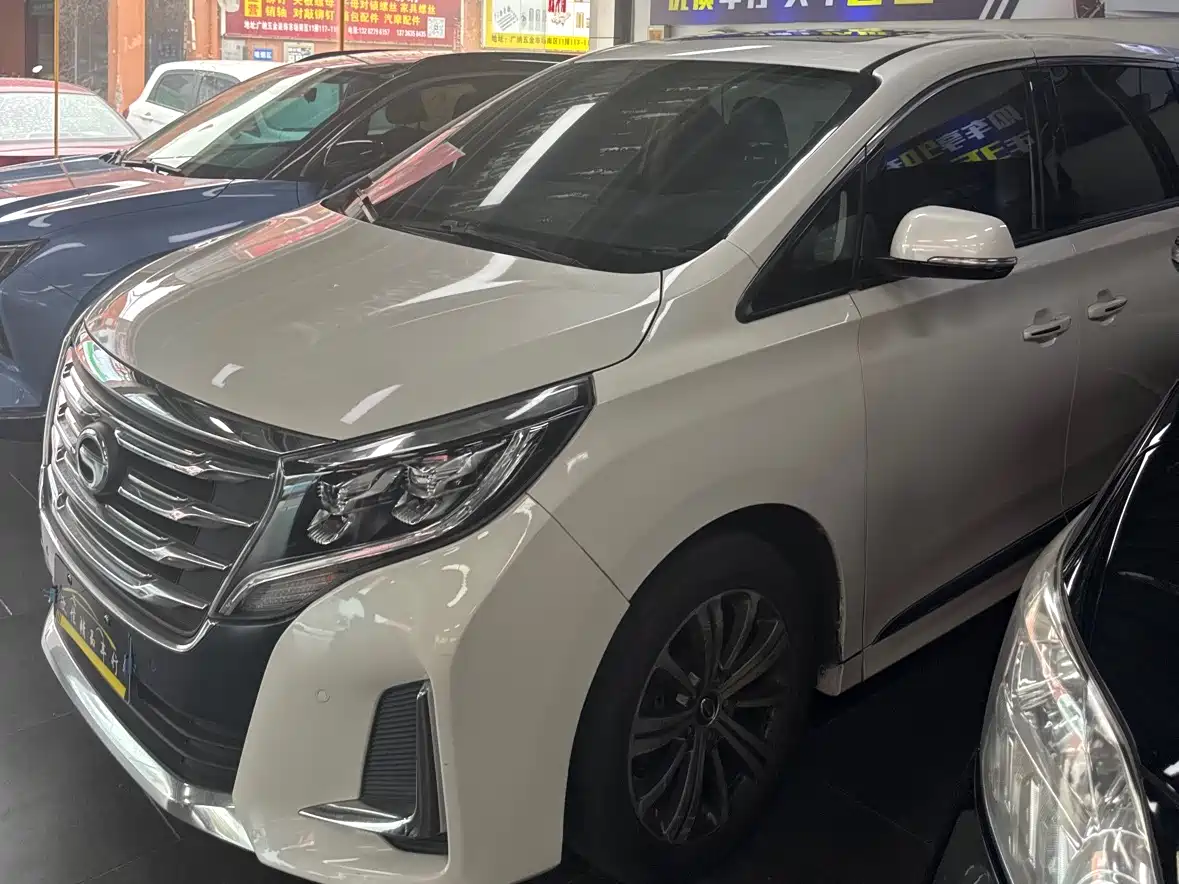 GAC Trumpchi Trumpchi M8 2020 Pilot 390T Prestige Edition фото 13