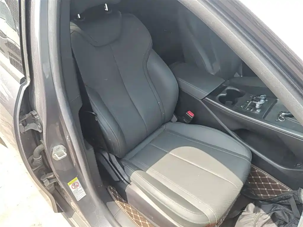 BYD Qin PLUS 2025 DM-i Smart Drive 55KM Leader фото 25