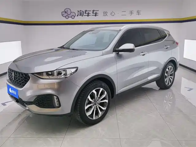 wei-pai wei-brand-vv6