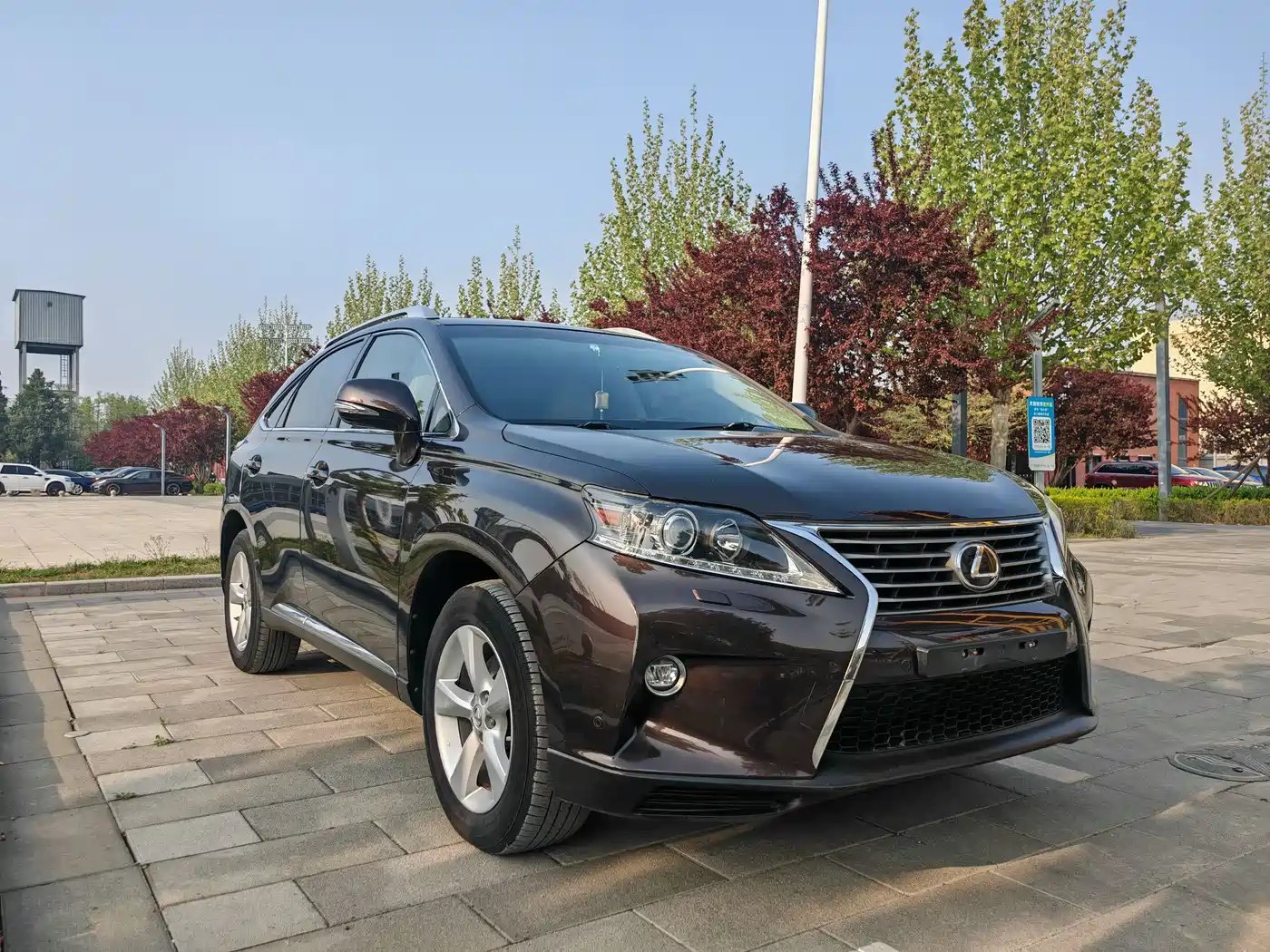 Lexus RX Classic 2013 270 Elegance фото 3