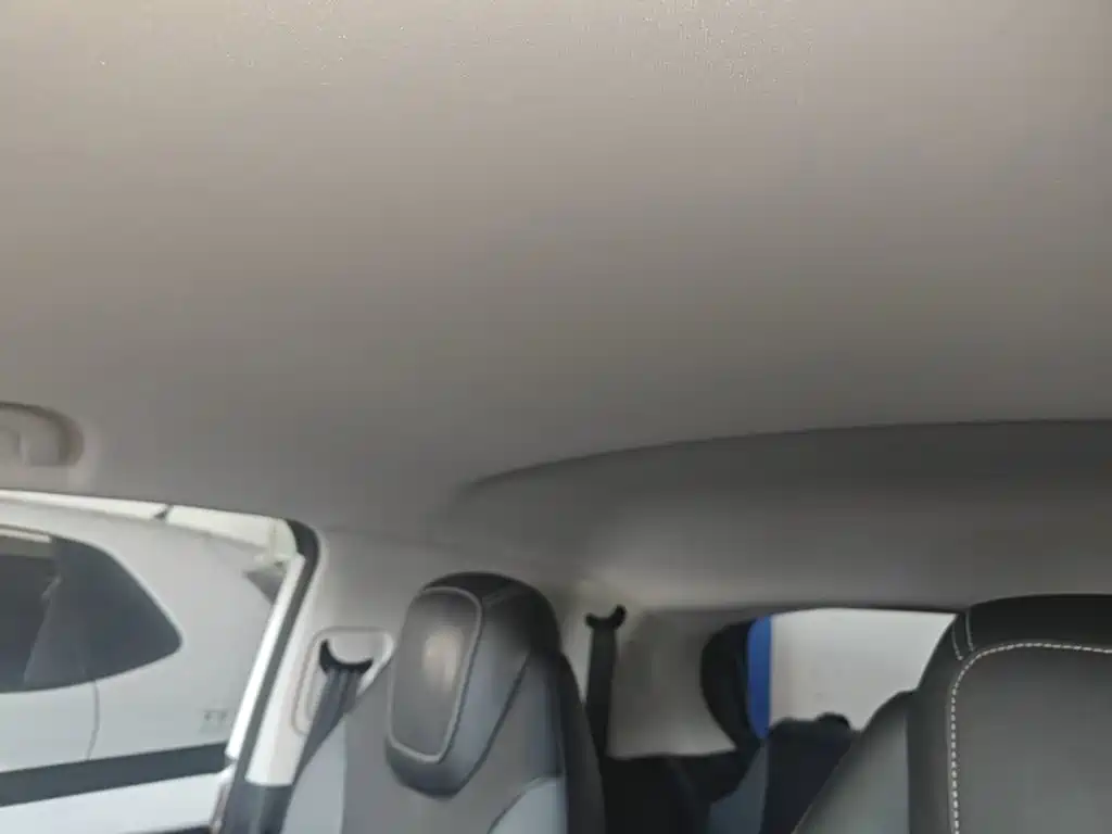 Roewe Kaiwei CLEVER 2023 2022 311km Vitality Bobo Edition