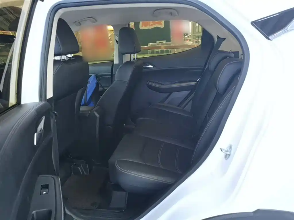BYD Yuan New Energy 2019 EV535 Smart Connected Trend Leader Type фото 17