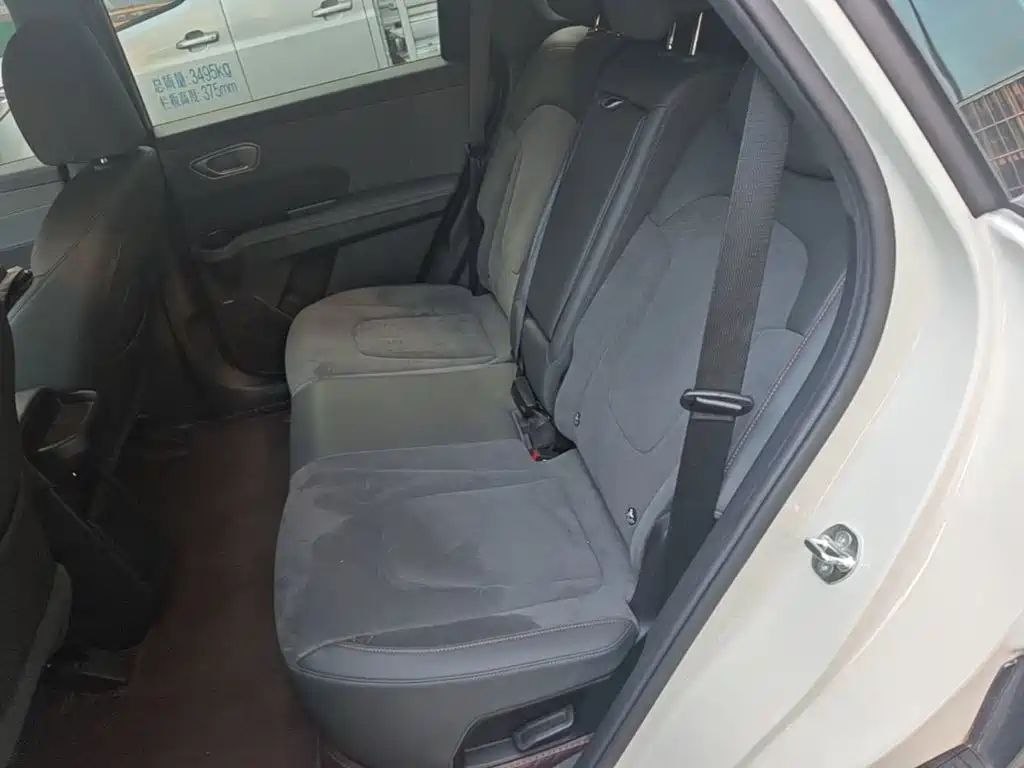Hyundai ELEXIO 2025 2025 Standard Range RWD