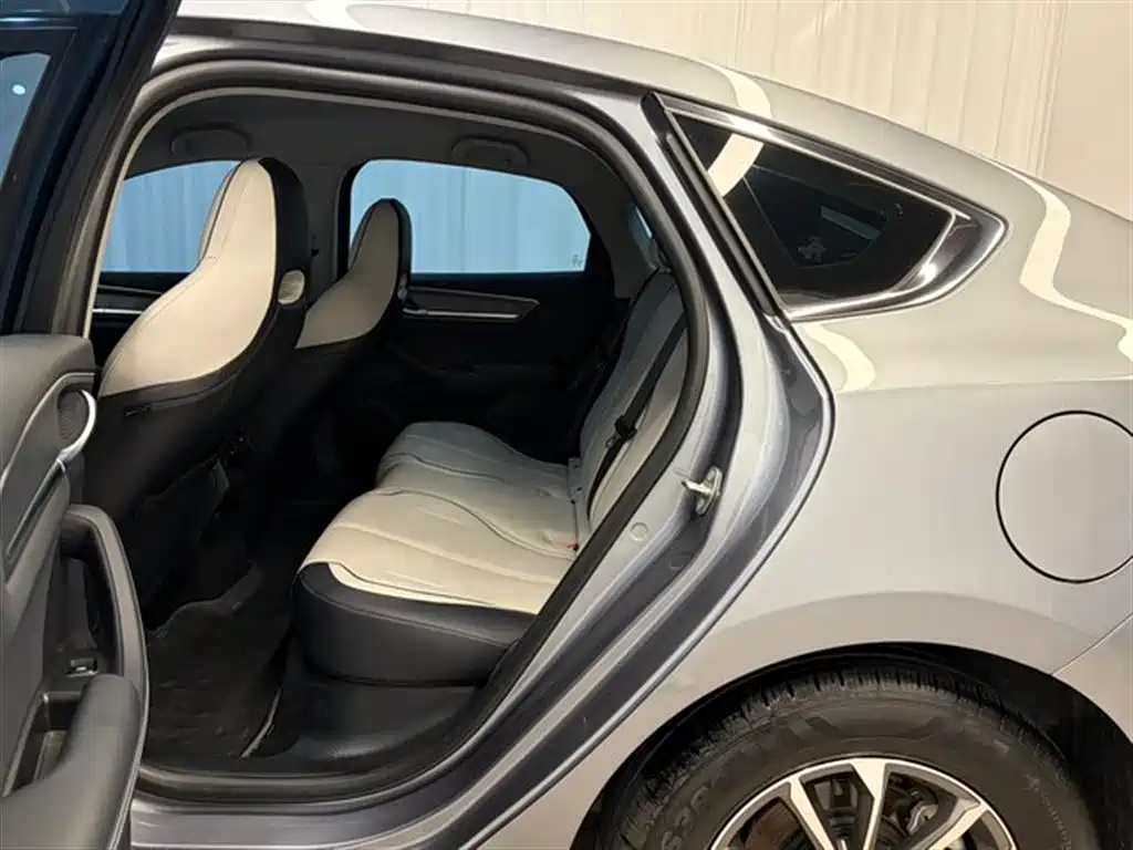 BYD Destroyer 05 2024 Glory Edition DM-i 55KM Luxury фото 13