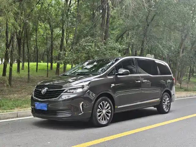 Buick GL8 Бизнес-класс, 652T, Люкс
