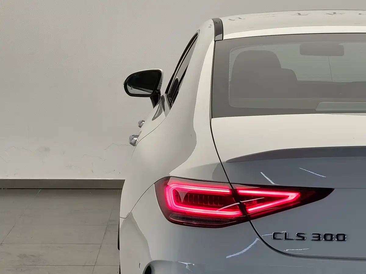 Mercedes-Benz CLS 2022 CLS 300 Luxury фото 18