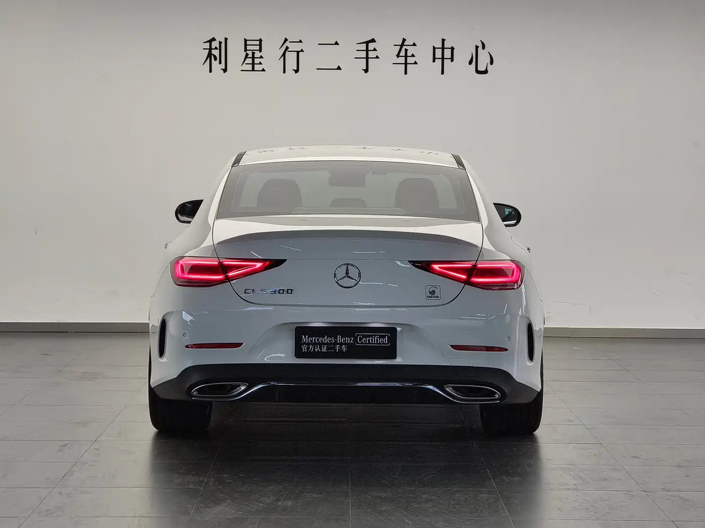 Mercedes-Benz CLS 2022 CLS 300 Luxury фото 6