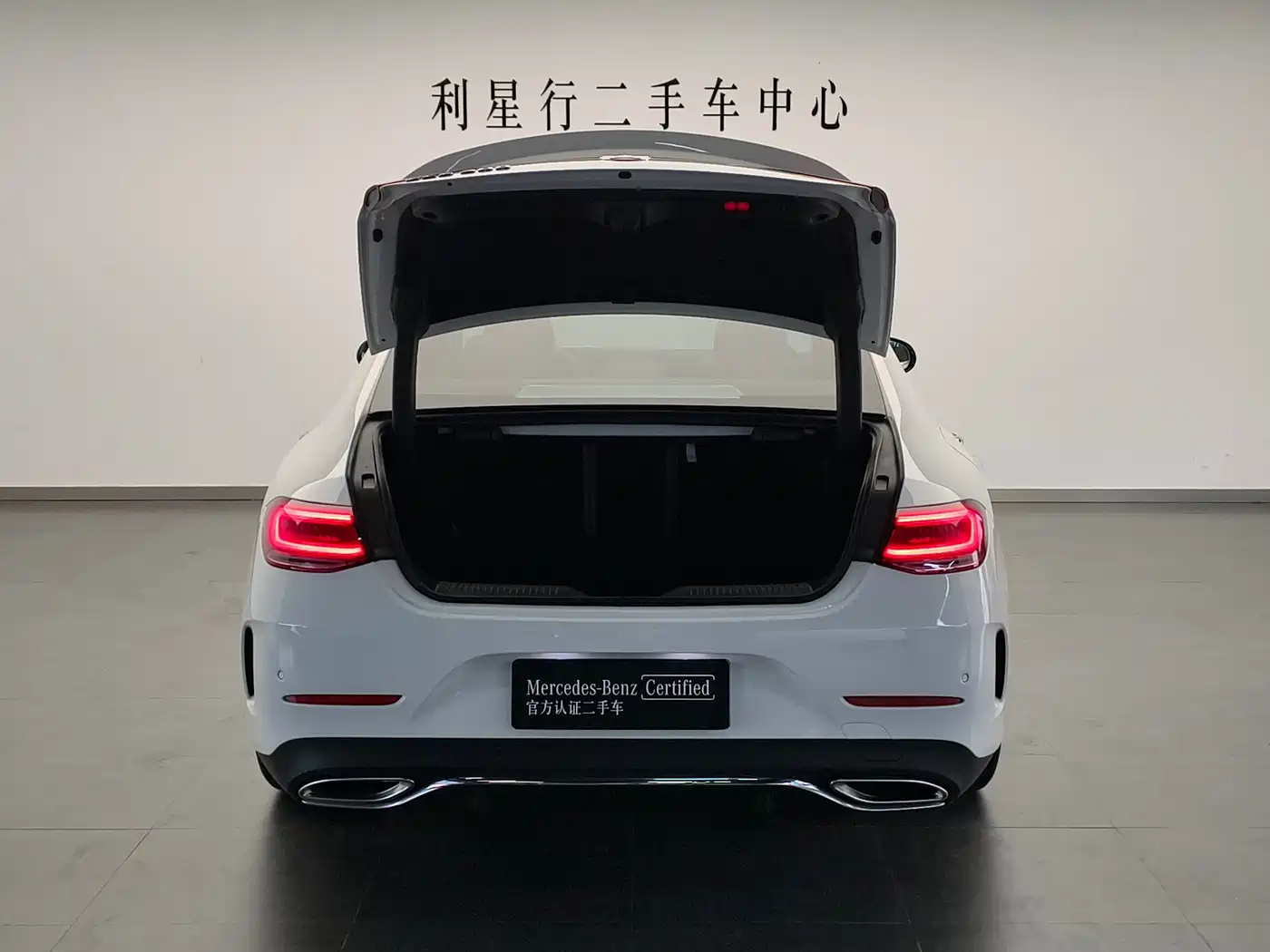 Mercedes-Benz CLS 2022 CLS 300 Luxury фото 21