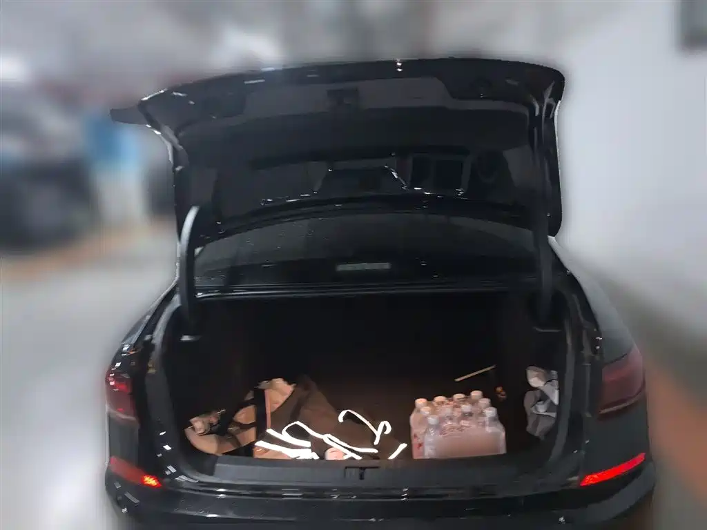Volkswagen Passat 2024 330TSI Starlight Elite Edition фото 10
