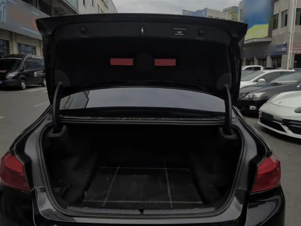 BMW 5 Series 2020 525Li M Sport Package фото 19