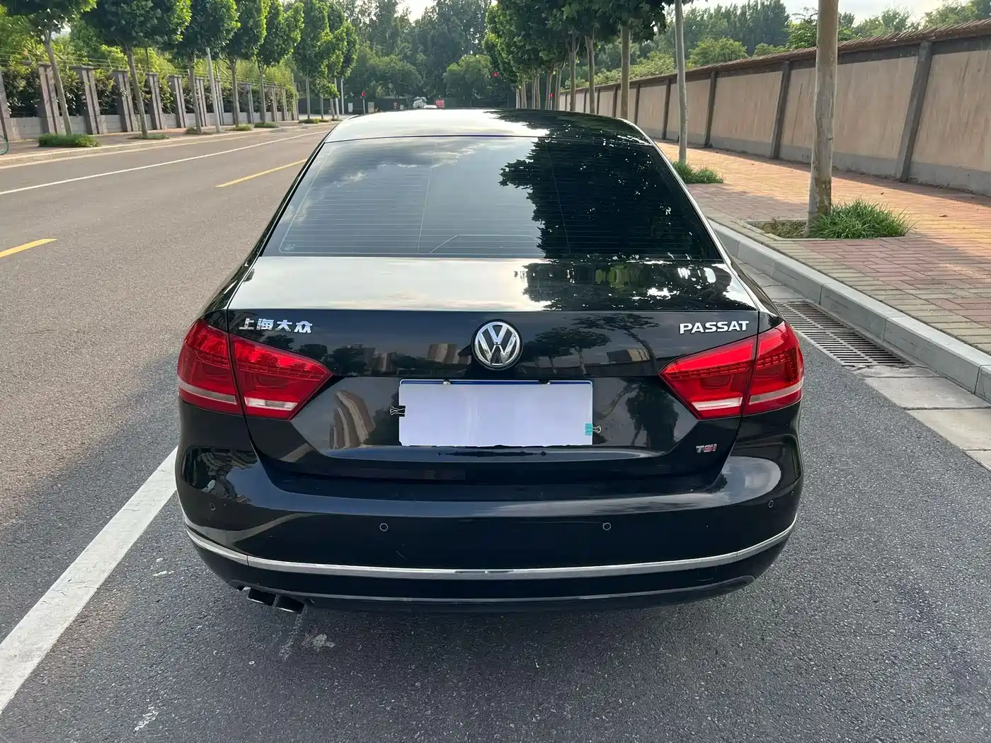 Volkswagen Passat 2011 1.8TSI DSG Honor Edition фото 12