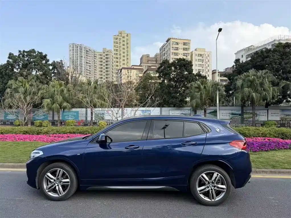 BMW X2 2020 sDrive25i Leading M Sport Package фото 10