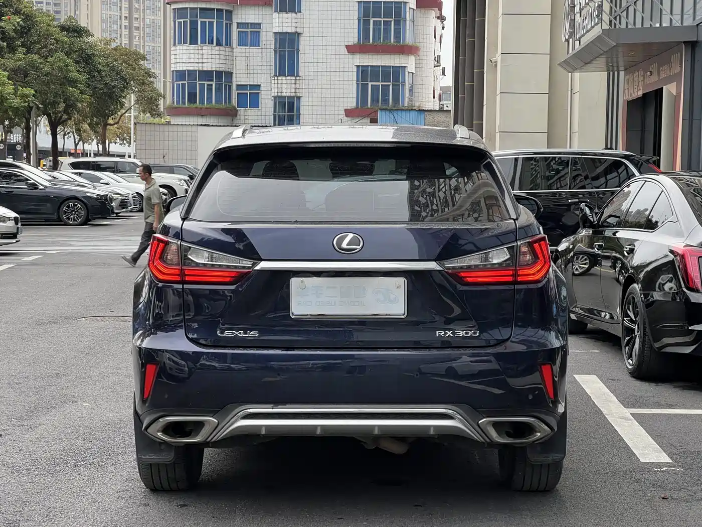 Lexus RX 2016 300 2WD Elite Edition (China V) фото 4