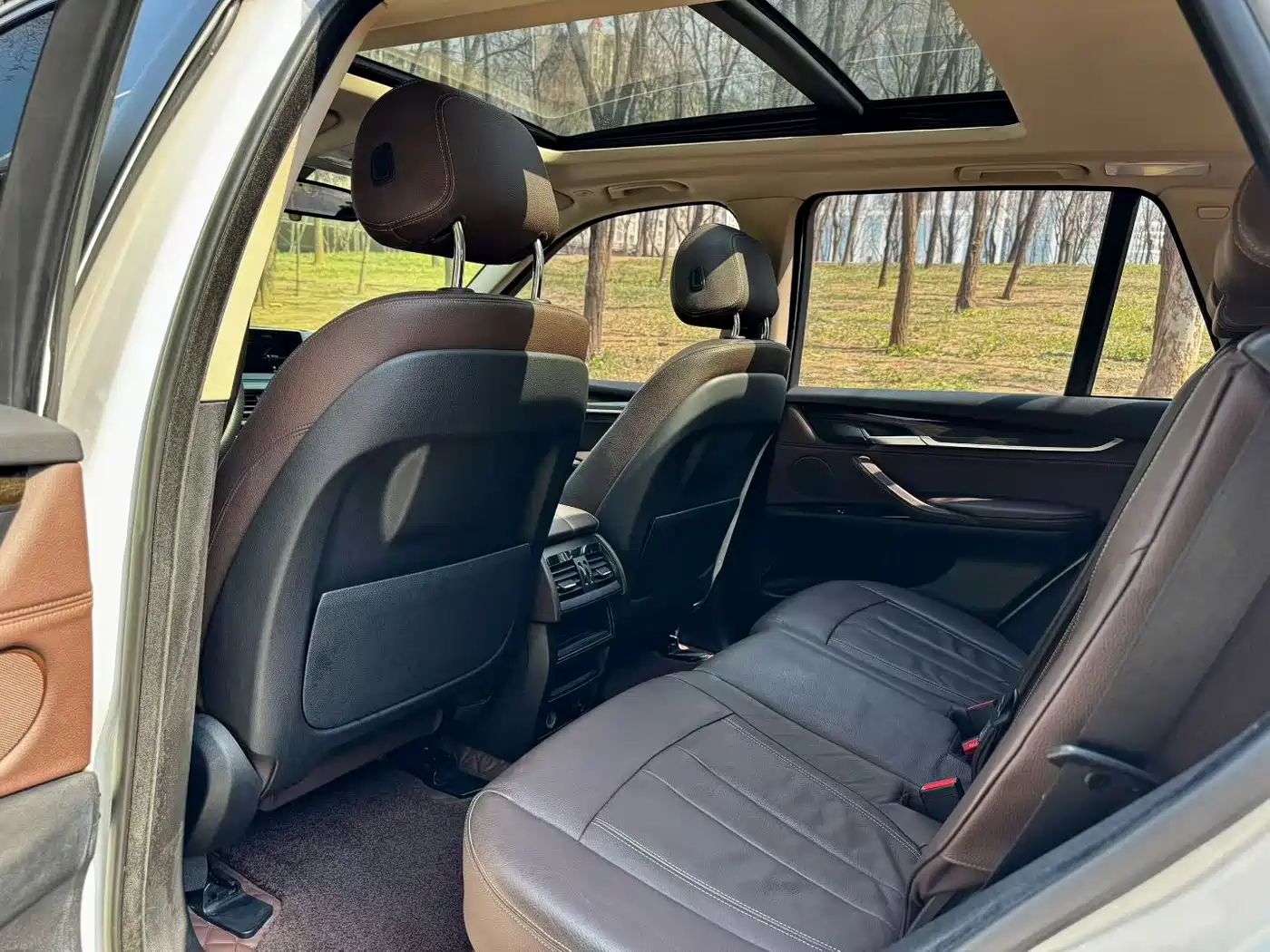 BMW X5 (Import) 2014 xDrive35i Leading фото 6