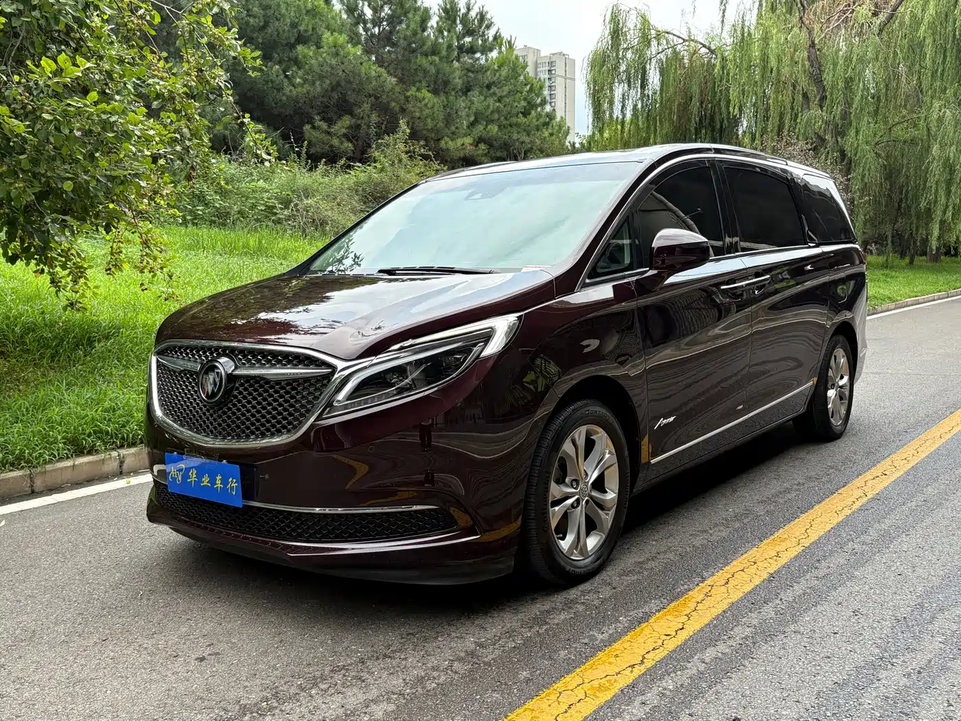 Фото 1 - Buick GL8