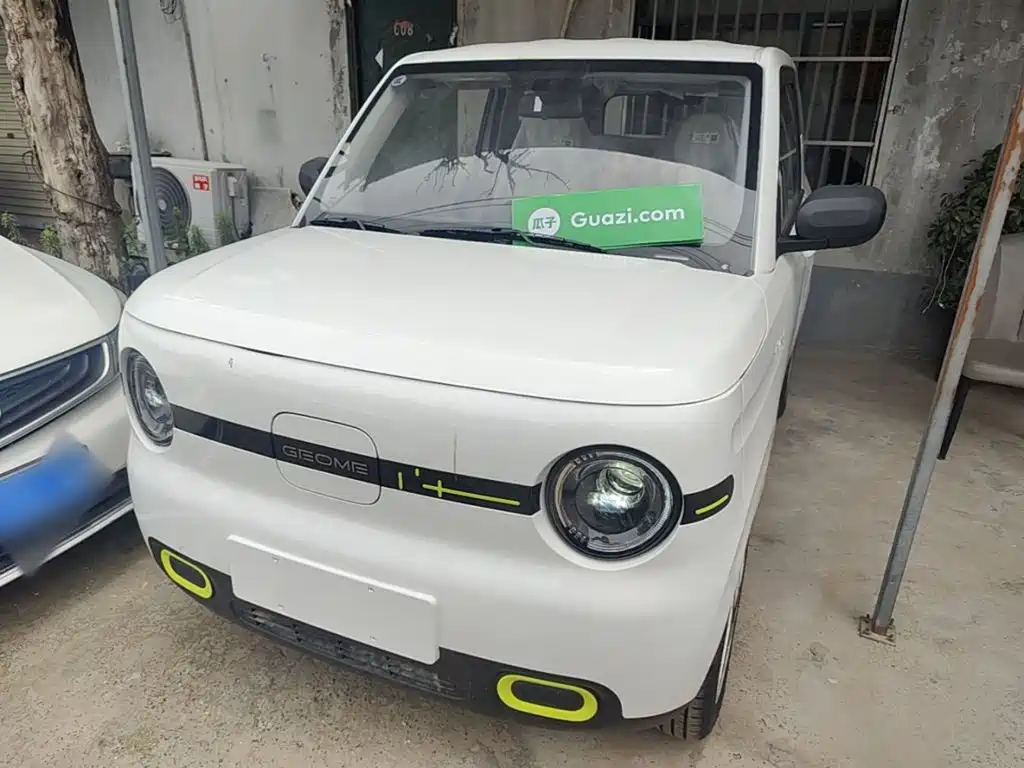 Geely Galaxy Panda 2025 Panda mini 210km Vitality Bear
