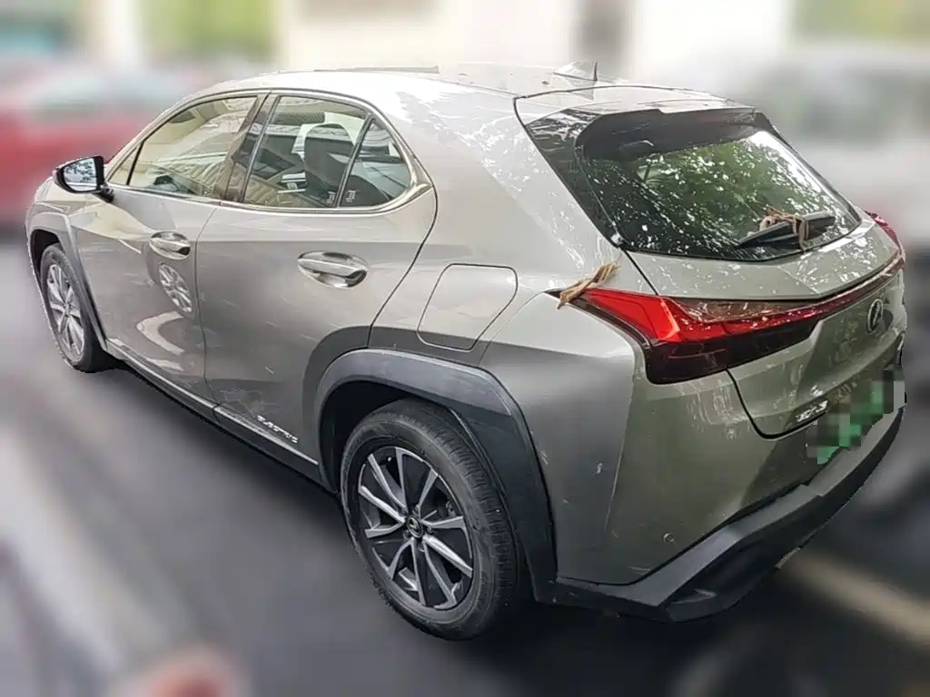 Lexus UX Electric 2021 2020 300e Pure Yue Edition