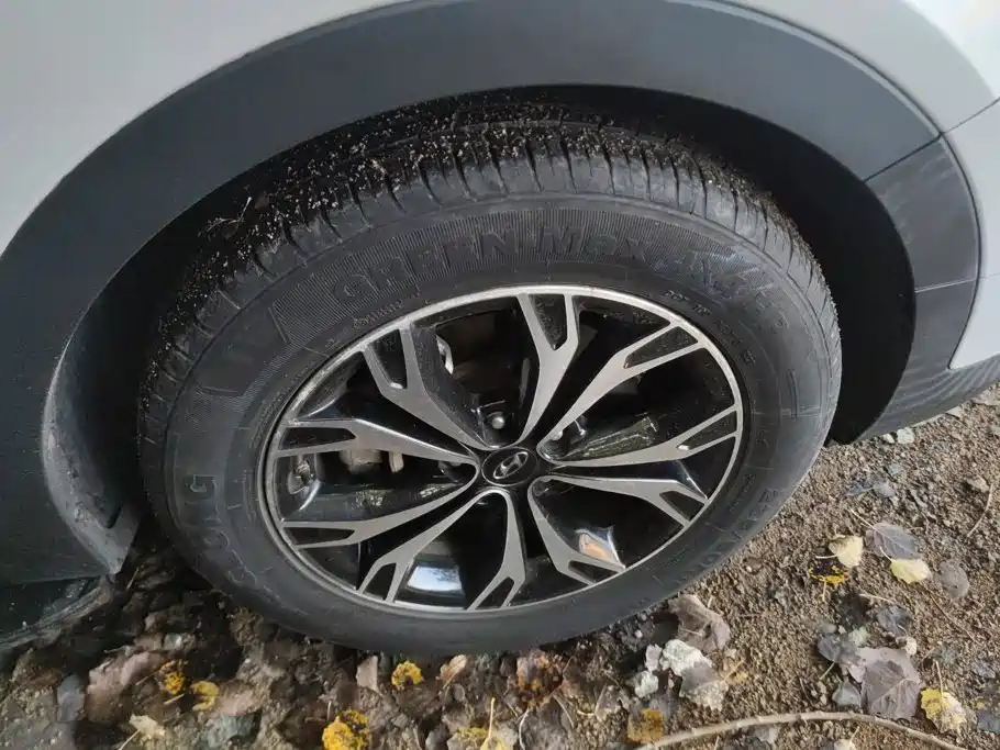 صورة 6 - Hyundai Santa Fe