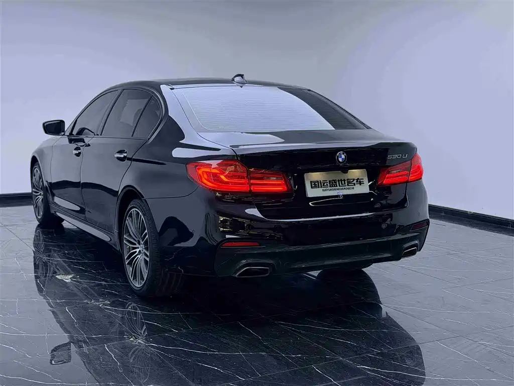 BMW 5 Series 2018 Facelift 530Li xDrive M Sport Package фото 6