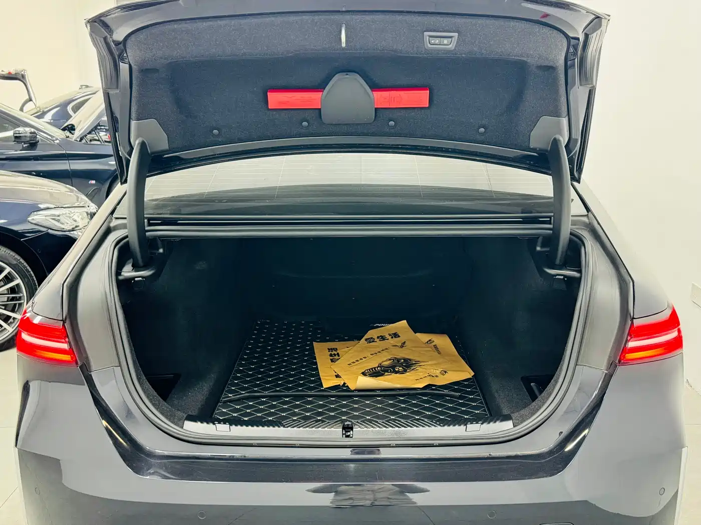 BMW 5 Series 2025 530Li Leading Luxury Package фото 19