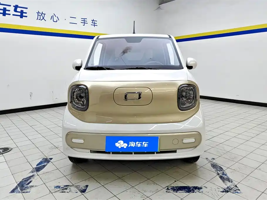 BESTUNE PENTIUM PONY