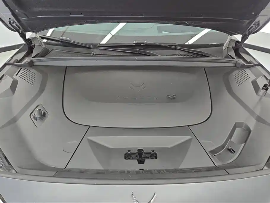 ARCFOX EXTREME FOX POLAR FOX ALPHA T5