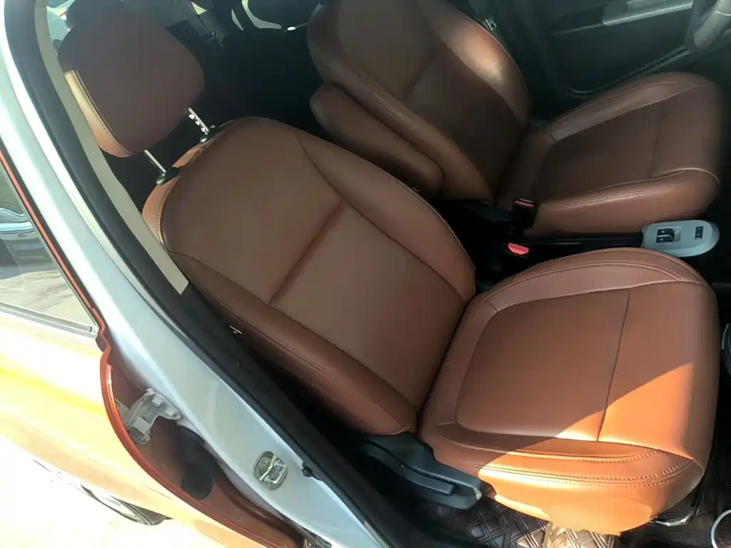 Ora Black Cat 2022 2022 Facelift 301km Pet Edition LFP Version