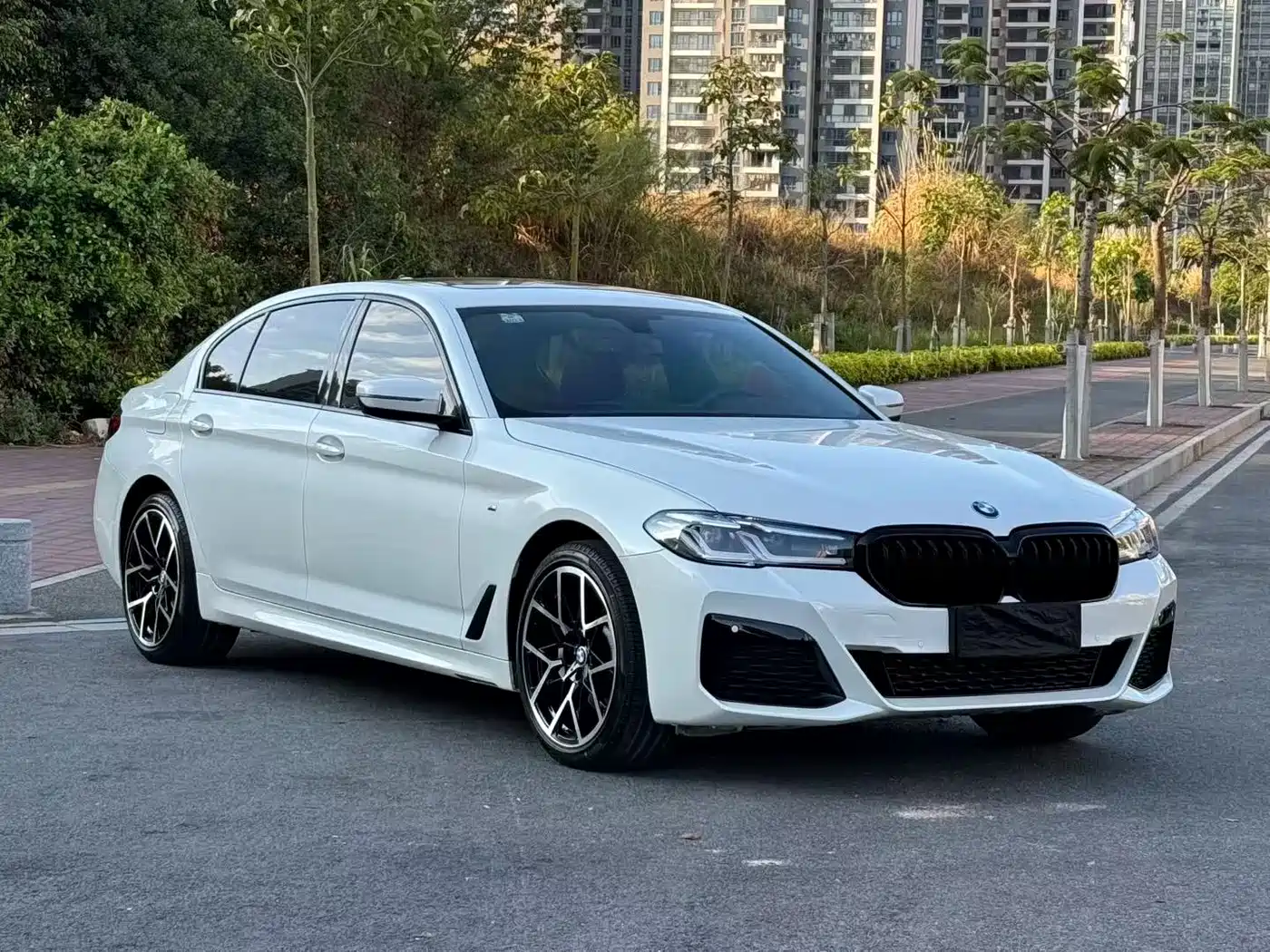 BMW 5 Series 2019 530Li Leading M Sport Package фото 3