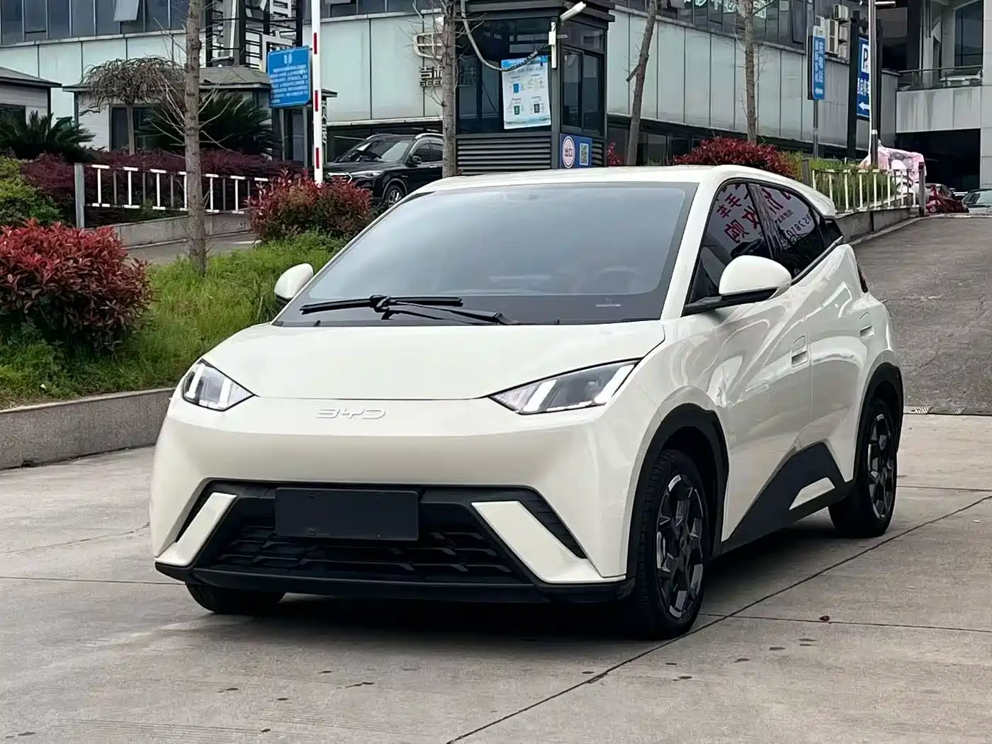 BYD Seagull 2024