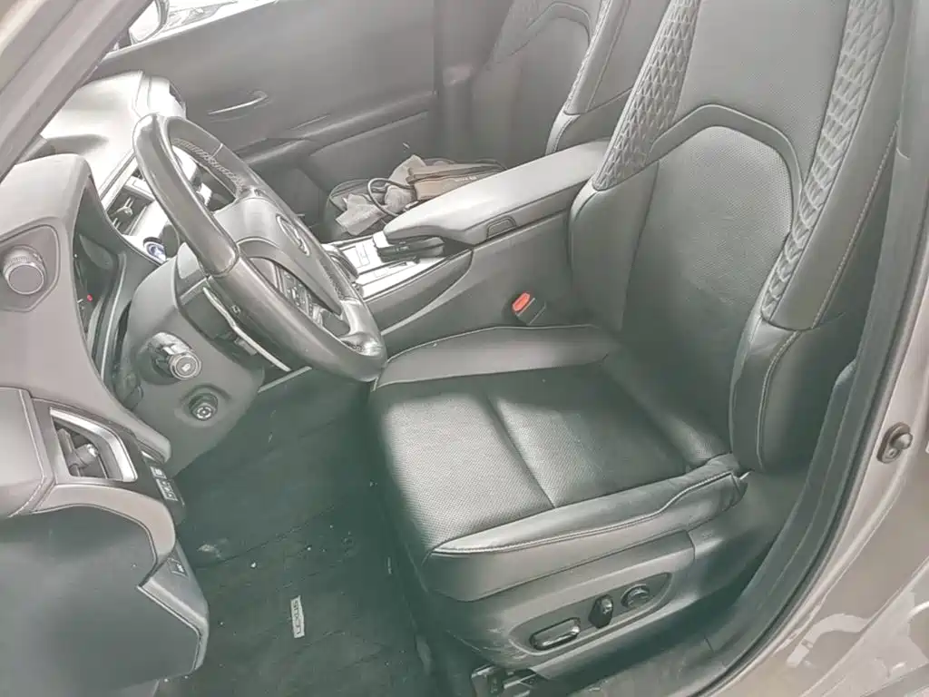 Lexus UX Electric 2021 2020 300e Pure Yue Edition