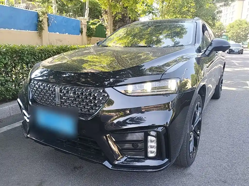 WEY VV7 2020 Model 2.0T Flagship