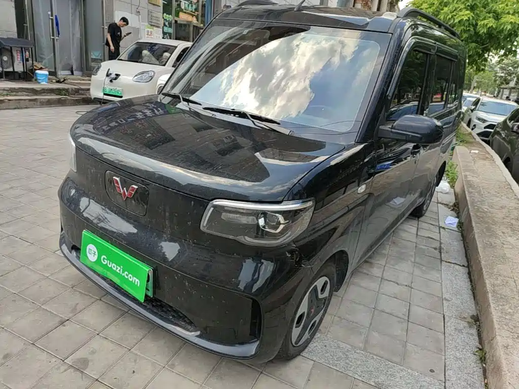 Wuling Motors Wuling Zhiguang NEV 2025 Model 305km Base Version