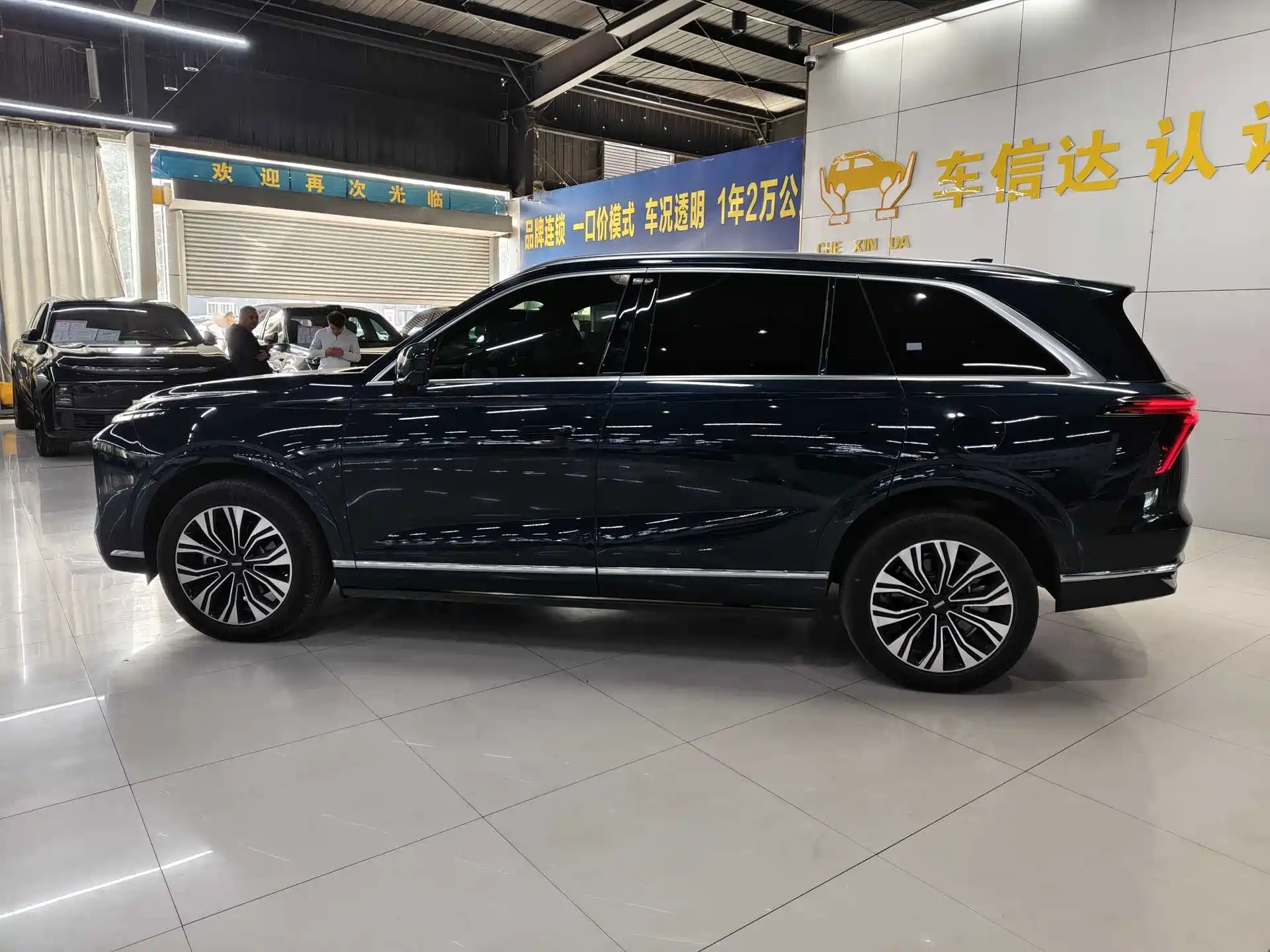 Фото 6 - WEY Lanshan