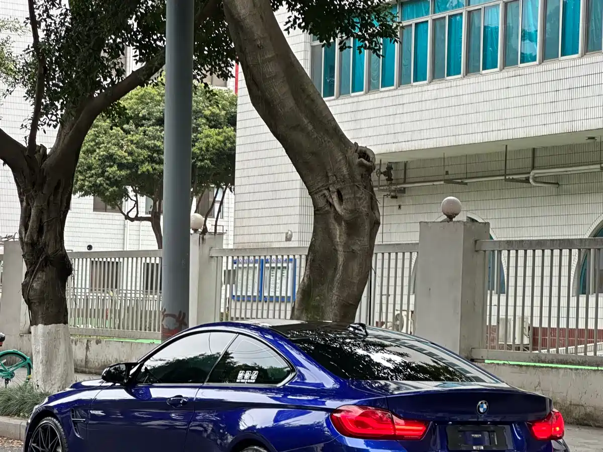 BMW M4 2018 M4 Convertible Coupe Fans Limited Edition фото 21