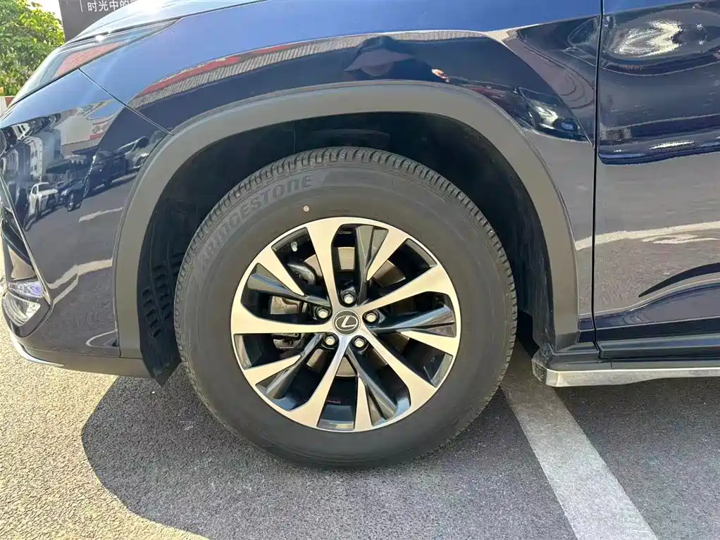 Lexus RX 2020 300 2WD Elite Edition China V фото 9