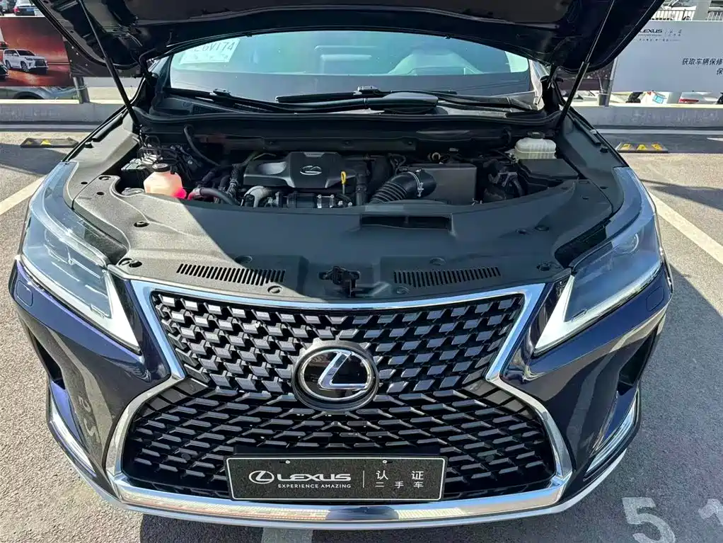 Lexus RX 2020 300 2WD Elite Edition China V фото 3