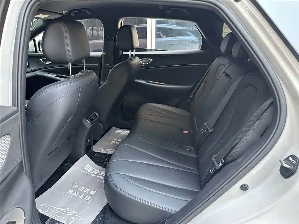 BYD SEA LION 06 NEW ENERGY