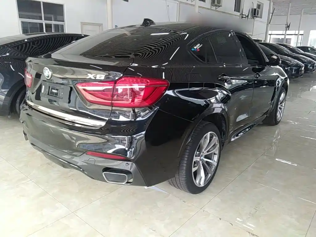 Photo 7 - BMW X6
