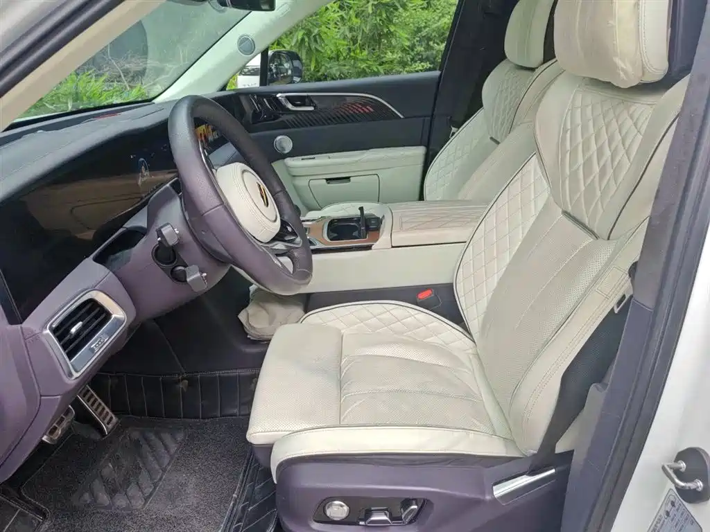 Hongqi E-HS9 2021 510km Flagship Edition 4-seater фото 8