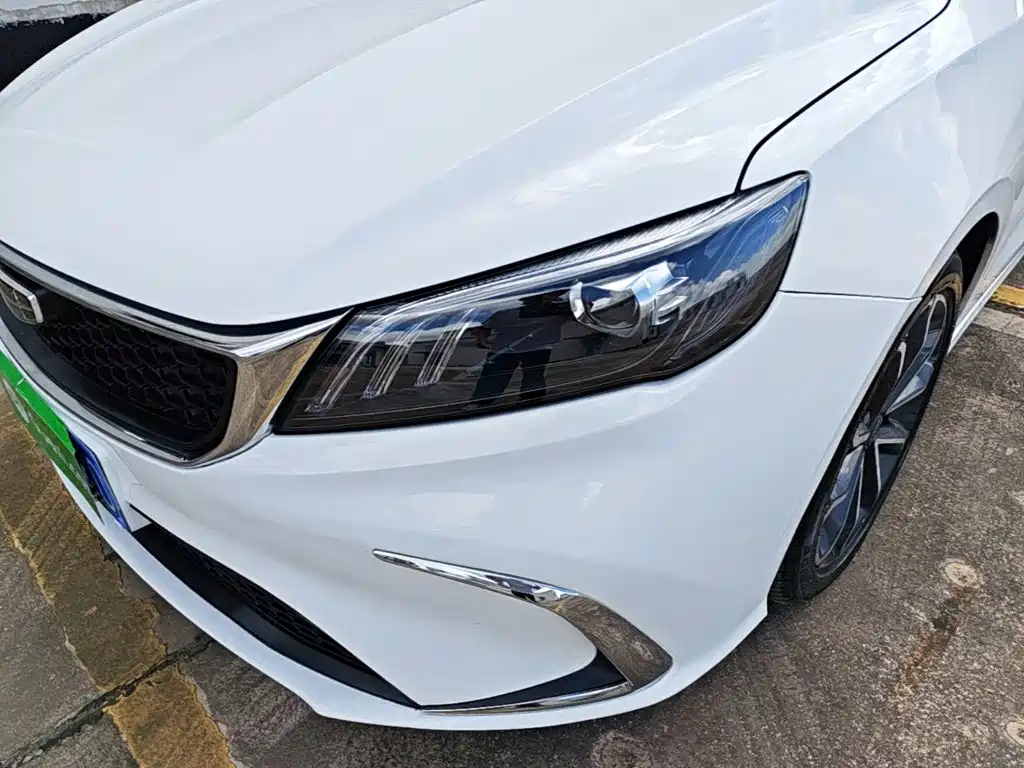 Фото 24 - Geely Binrui