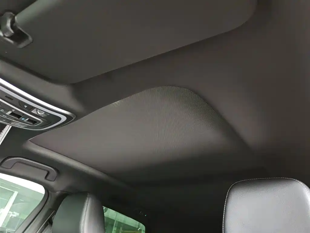 Denza X 2020 PHEV Sport Edition фото 18