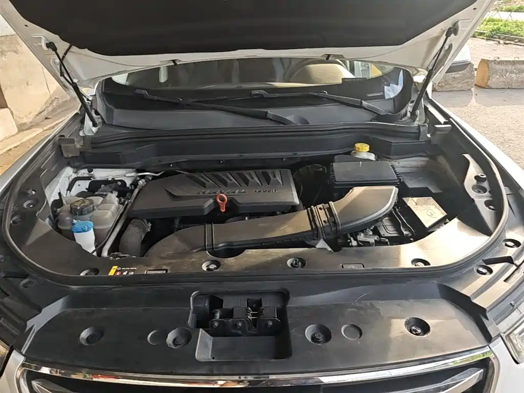 Haval H6 2019 1.5GDIT Automatic Champion Edition China VI фото 20
