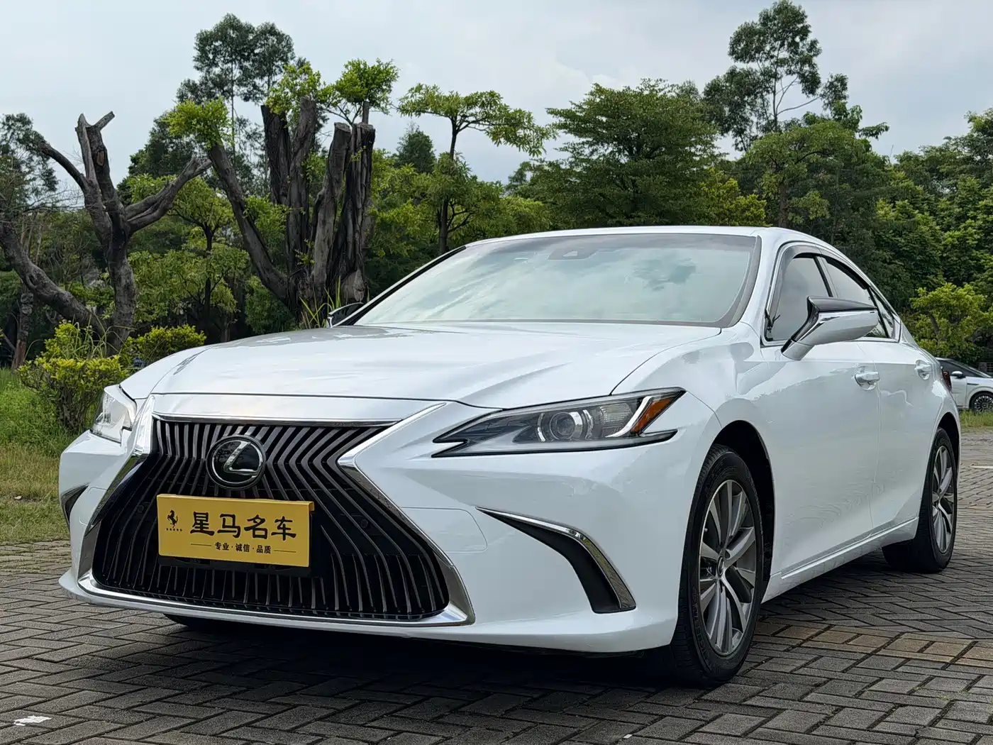 Фото 1 - Lexus ES