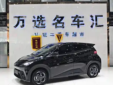 BYD Seagull