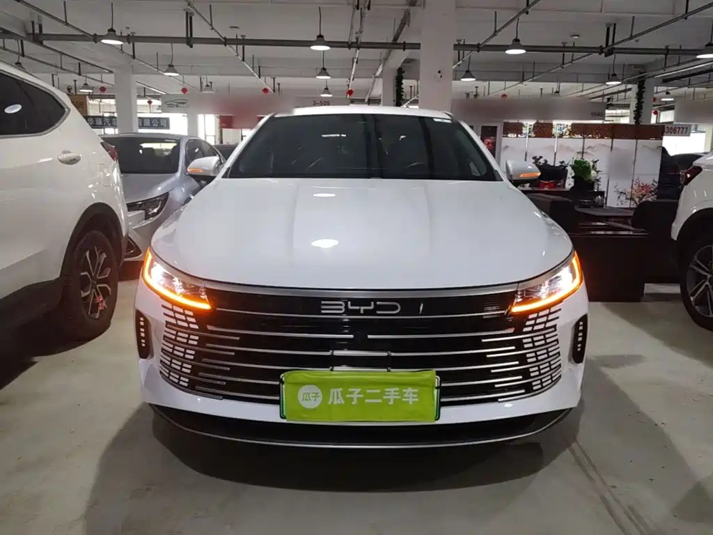 Фото 3 - BYD Destroyer 05