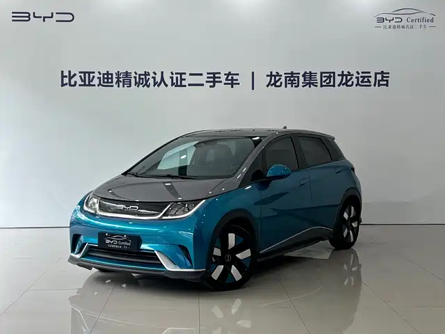 BYD Dolphin 401km, Knight