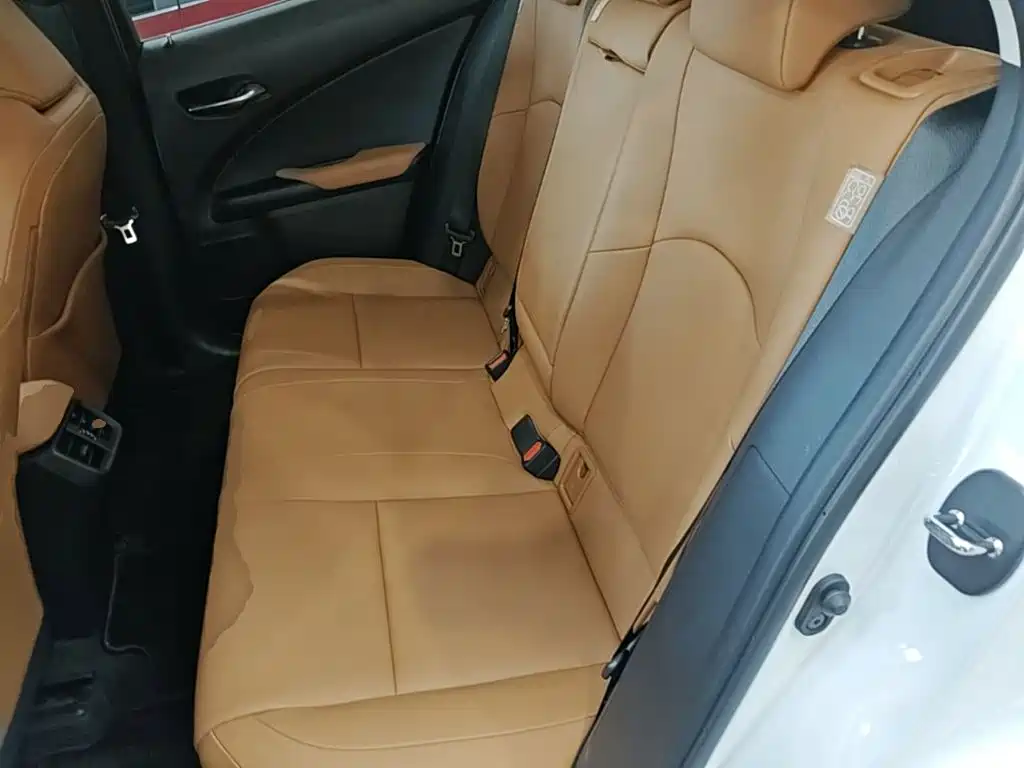 Lexus UX 2021 2020 260h Explore Cool Edition
