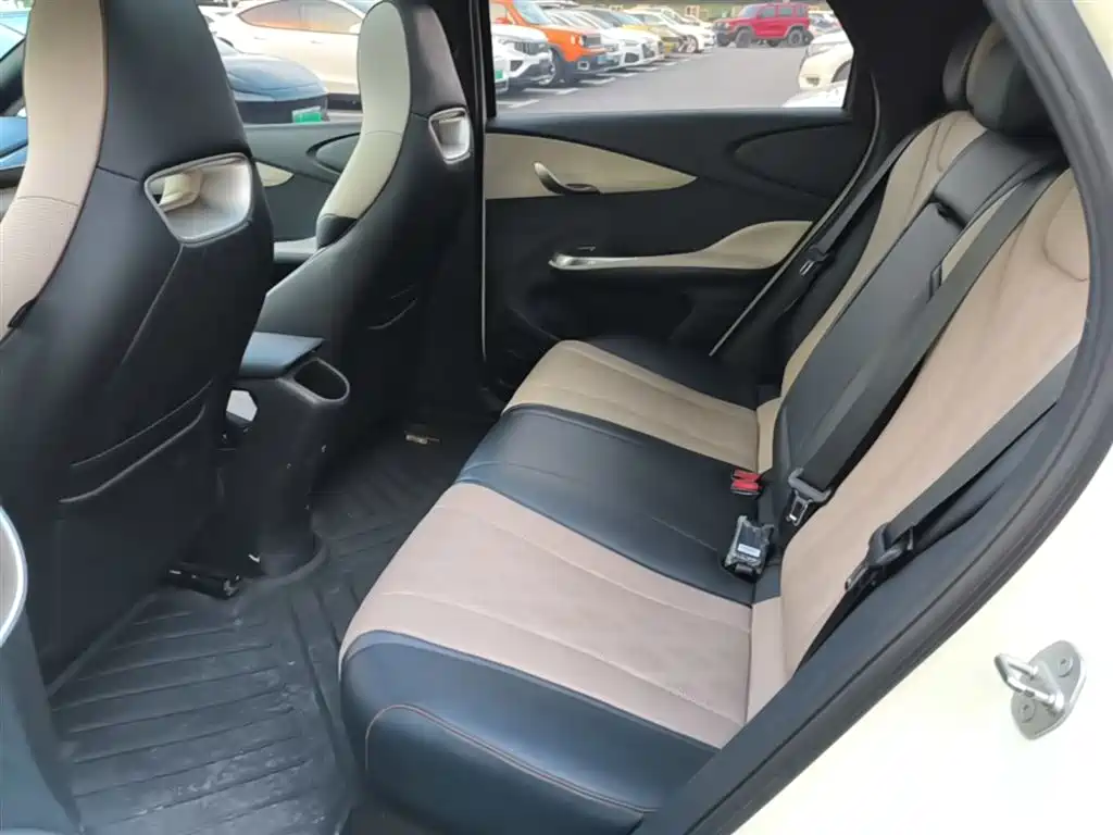 BYD Dolphin 2023 420km Fashion Edition фото 17